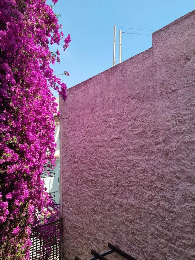 Canto-Home Alongside The Acropolis Афины Экстерьер фото